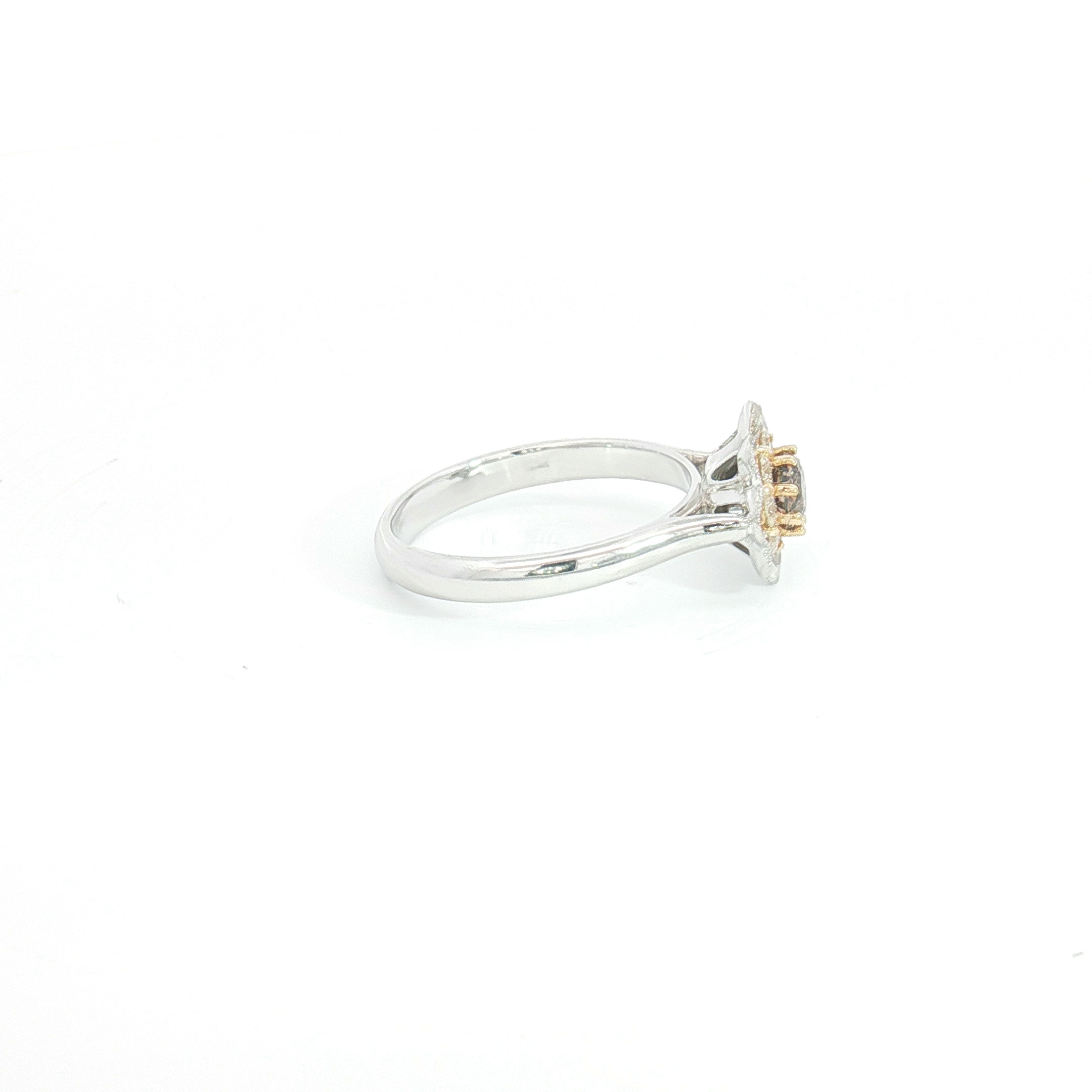 18ct WG/RG Chocolate Diamond Floral Halo Cocktail Ring