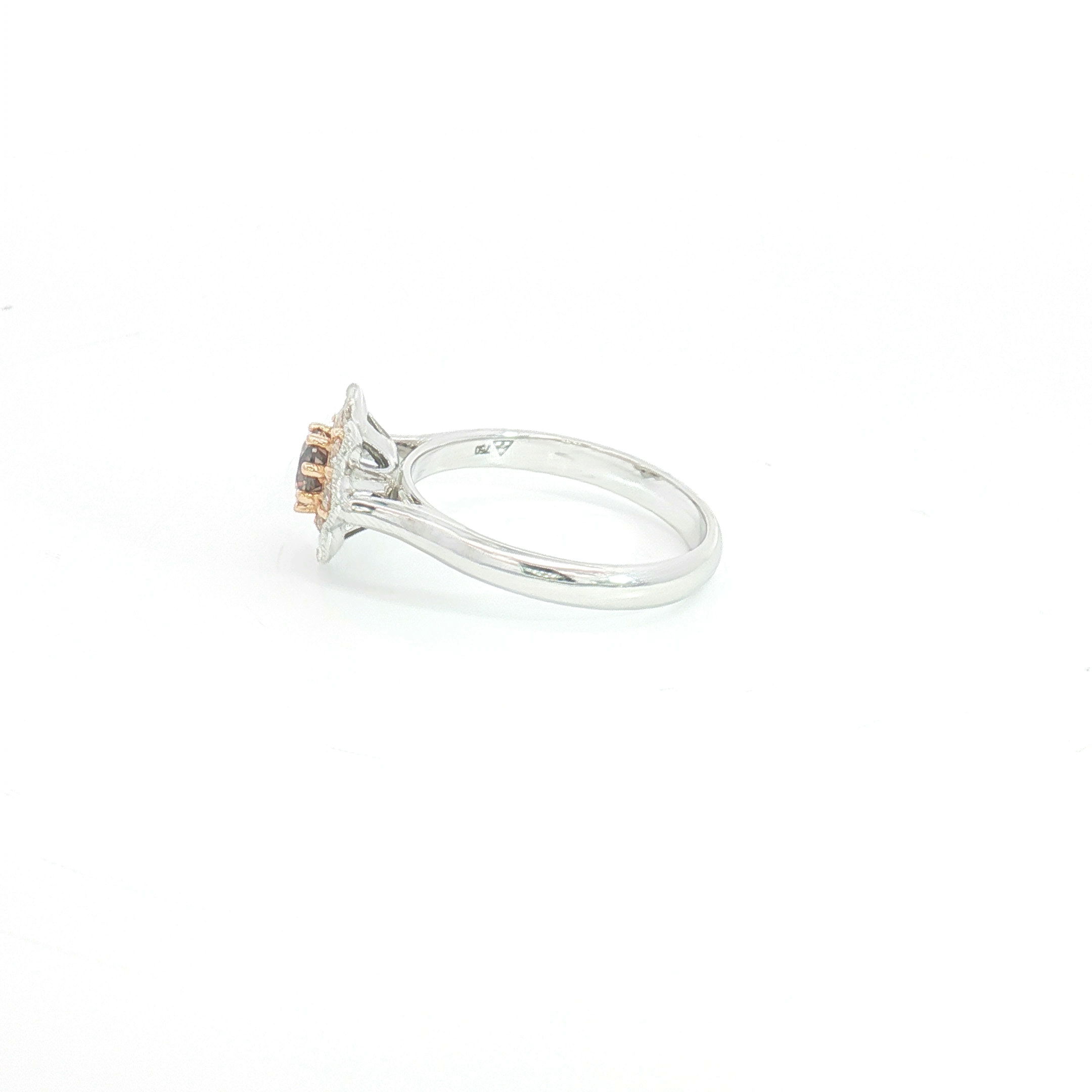18ct WG/RG Chocolate Diamond Floral Halo Cocktail Ring