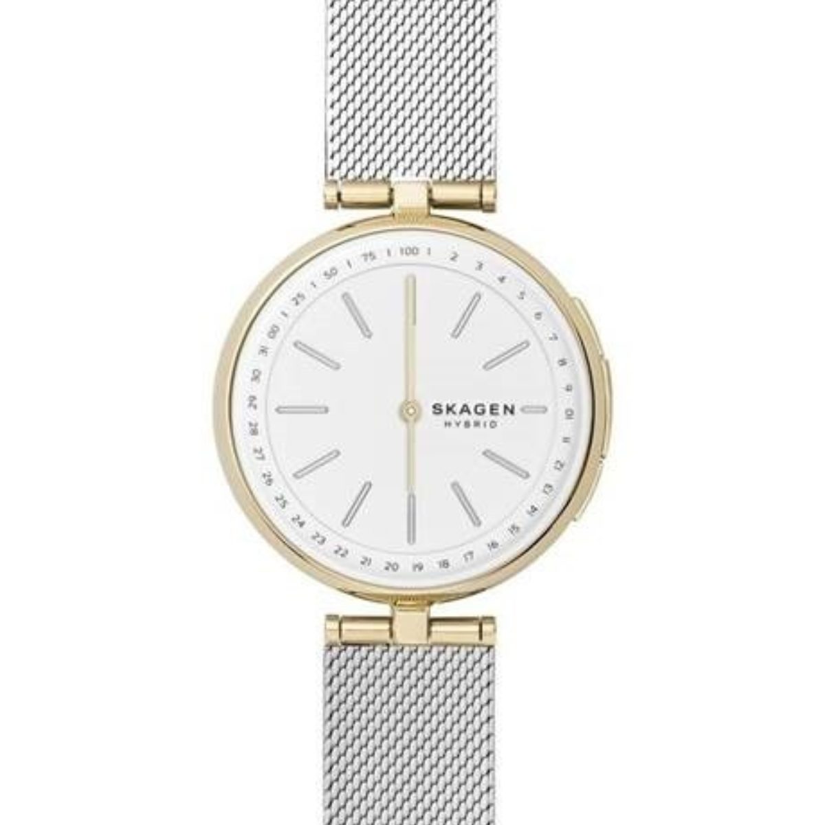 smartwatch skagen hybrid